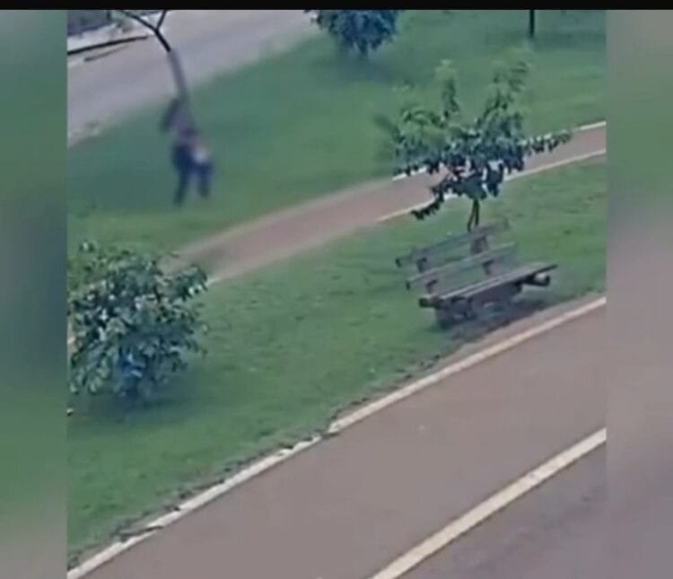 Mulher é presa após abandonar filho de 2 anos no Parque da Jaiara, em Anápolis