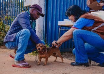 Bairro Novo Paraíso recebe vacinação antirrábica domiciliar nesta terça (17)