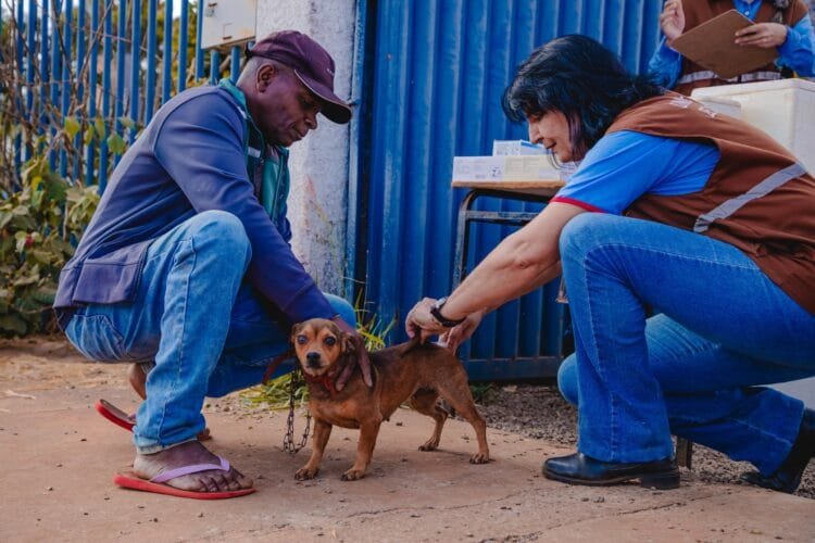 Bairro Novo Paraíso recebe vacinação antirrábica domiciliar nesta terça (17)