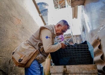 Disk denúncia: Prefeitura divulga canais para informar possíveis focos da dengue em Anápolis