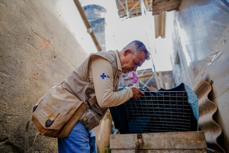 Disk denúncia: Prefeitura divulga canais para informar possíveis focos da dengue em Anápolis