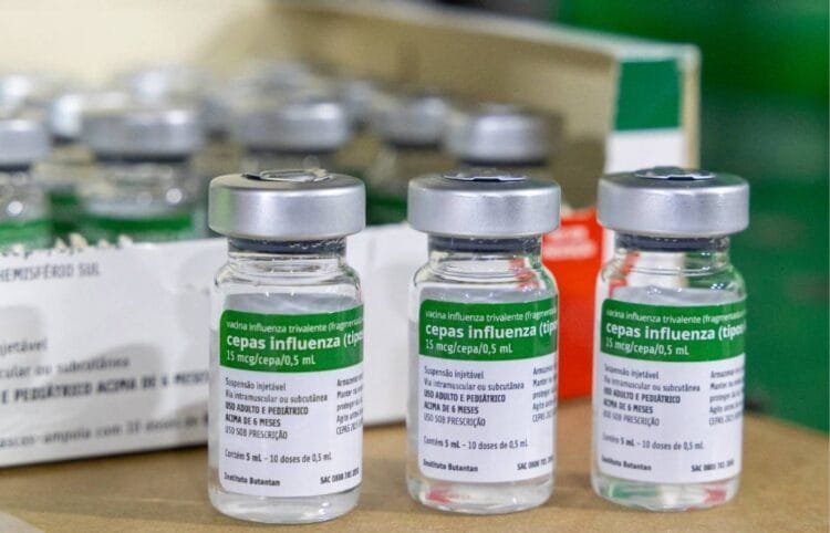 Vacinação contra a gripe começa neste sábado (28): veja quem pode se vacinar
