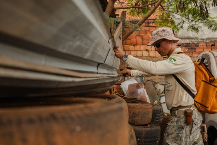Equipes de Endemias realizam vistorias em mais de 70 mil imóveis e eliminam 512 focos em março