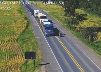 Goiás acende alerta na PRF: ultrapassagens irregulares já mataram 29 pessoas e seguem em alta