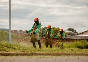 Lote com mato alto vai pesar no bolso em Anápolis e custo total pode ultrapassar valor do IPTU e ITU; entenda cálculo