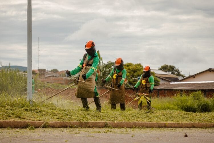 Lote com mato alto vai pesar no bolso em Anápolis e custo total pode ultrapassar valor do IPTU e ITU; entenda cálculo