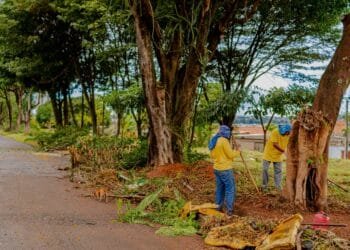 Força-tarefa de limpeza urbana percorre cinco bairros de Anápolis ao longo de 10 dias