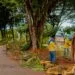 Força-tarefa de limpeza urbana percorre cinco bairros de Anápolis ao longo de 10 dias