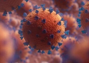 Covid-19: nova variante detectada em 23 países possui maior escape imunológico