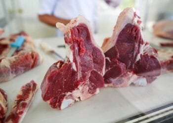 Federação paranaense cobra ‘celeridade máxima’ para evitar embargo da UE às carnes brasileiras