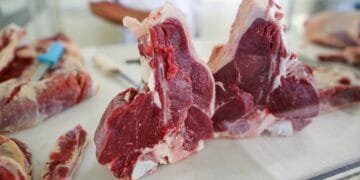 Federação paranaense cobra ‘celeridade máxima’ para evitar embargo da UE às carnes brasileiras