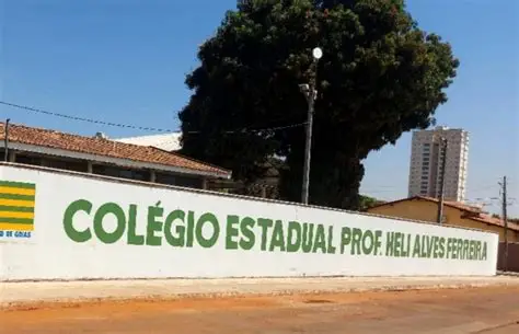 Comoção em Anápolis: diretora de colégio estadual e companheira são encontradas mortas em residência