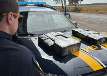 O que chamou a atenção da PRF dentro de um carro na BR-153 surpreendeu até os policiais