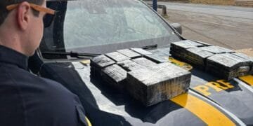 O que chamou a atenção da PRF dentro de um carro na BR-153 surpreendeu até os policiais