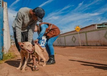 Vigilância de Zoonoses reforça importância da vacinação antirrábica de cães e gatos