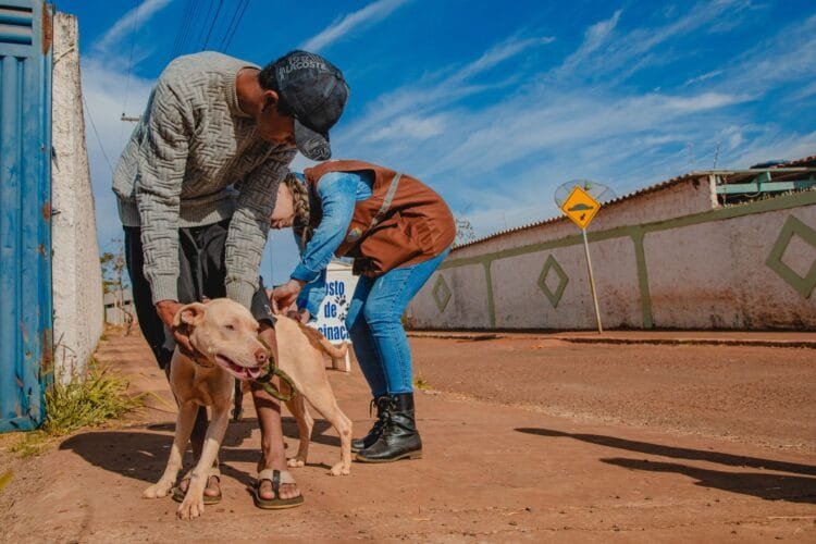 Vigilância de Zoonoses reforça importância da vacinação antirrábica de cães e gatos