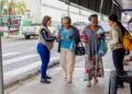 Prefeitura de Anápolis inicia orientação à população sobre os Wolbitos, mosquitos que ajudam no combate à dengue