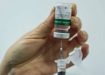 InfoGripe alerta para aumento das internações por VSR e influenza A e B