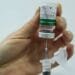 InfoGripe alerta para aumento das internações por VSR e influenza A e B
