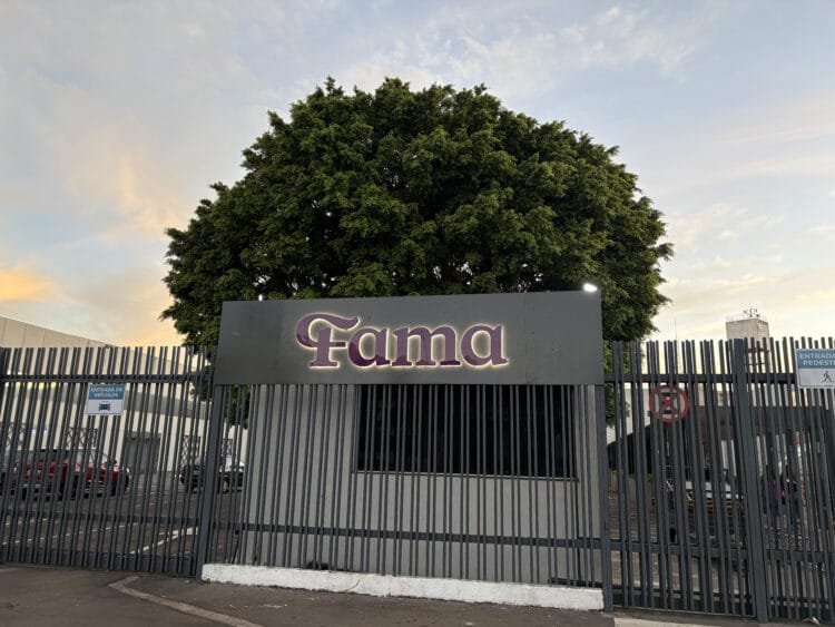 Pedagogia da FAMA alcança nota de excelência no MEC e entra para o grupo dos melhores cursos de Goiás