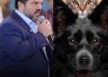 “Teremos um centro moderno de castração e atendimento veterinário”, anuncia Márcio Corrêa