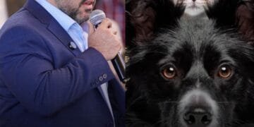 “Teremos um centro moderno de castração e atendimento veterinário”, anuncia Márcio Corrêa