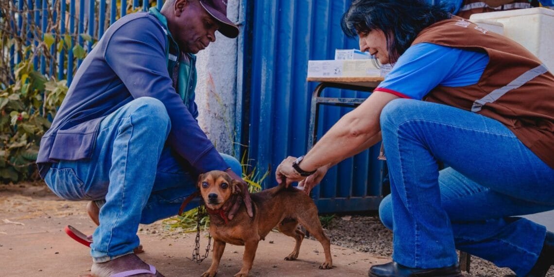 Prefeitura de Anápolis realiza Dia de Vacinação Antirrábica para cães e gatos neste sábado (4)
