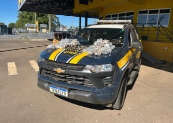 PRF encontra 37 kg de haxixe escondidos em tanque de combustível e prende motorista na BR-153