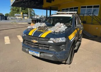 PRF encontra 37 kg de haxixe escondidos em tanque de combustível e prende motorista na BR-153