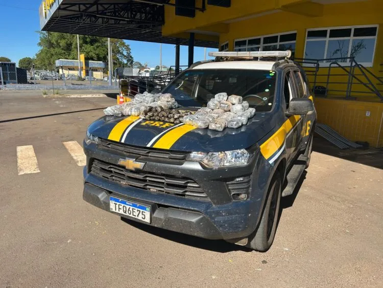 PRF encontra 37 kg de haxixe escondidos em tanque de combustível e prende motorista na BR-153