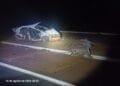 Fim de semana nas rodovias federais de Goiás tem 28 acidentes, 29 feridos e uma morte