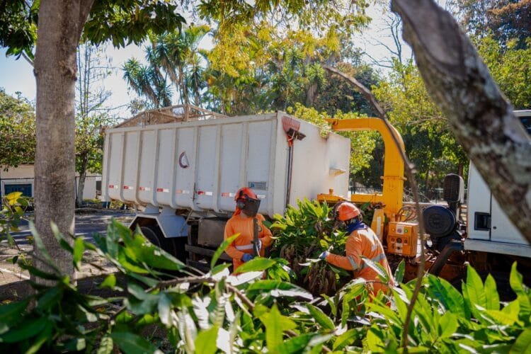 Prefeitura inicia obras de revitalização do Parque da Matinha