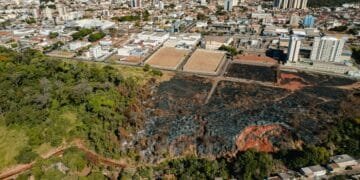 Queimadas clandestinas podem causar prejuízos ao meio ambiente e gerar multas de até 50 milhões em Anápolis