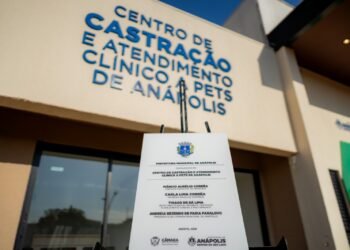 Anápolis inaugura centro de castração com atendimento gratuito para cães e gatos; saiba como funciona