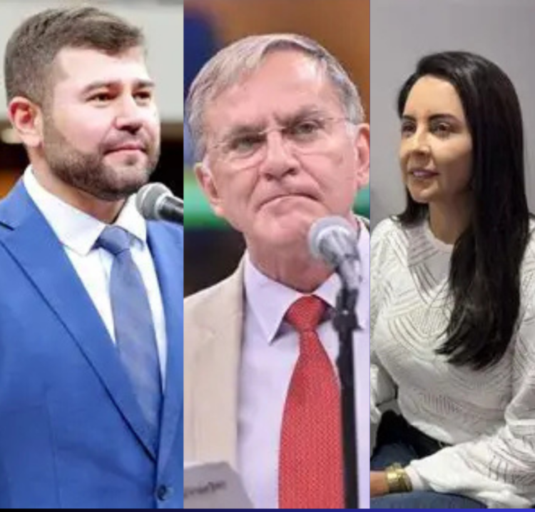 Pesquisa revela quem larga na frente na disputa por uma vaga na Assembleia em Anápolis
