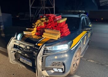 PRF encontra 80 kg de maconha escondidos em veículo transportado por caminhão-cegonha na BR-153