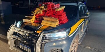 PRF encontra 80 kg de maconha escondidos em veículo transportado por caminhão-cegonha na BR-153