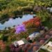 Reserva Sunflower avança em Anápolis com tecnologia, área verde e estrutura de alto padrão