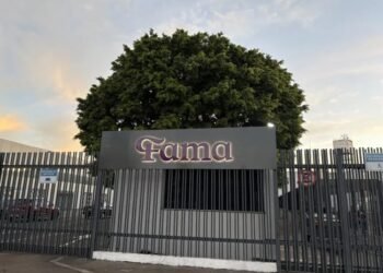 Fama Educação lança pós-graduação em Neuropsicopedagogia com dupla certificação