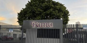 Fama Educação lança pós-graduação em Neuropsicopedagogia com dupla certificação