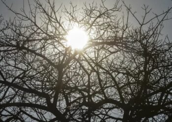 El Niño: agro da Região Centro-Oeste deve antecipar medidas para reduzir efeitos da seca